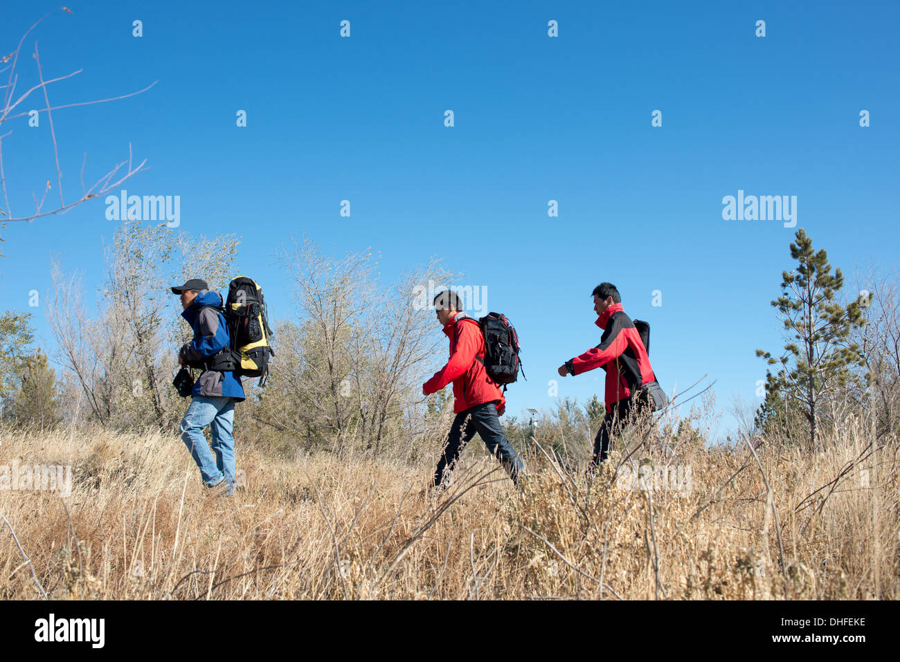 Tre persone in autunno sport trekking, a piedi e con lo zaino in spalla Foto Stock