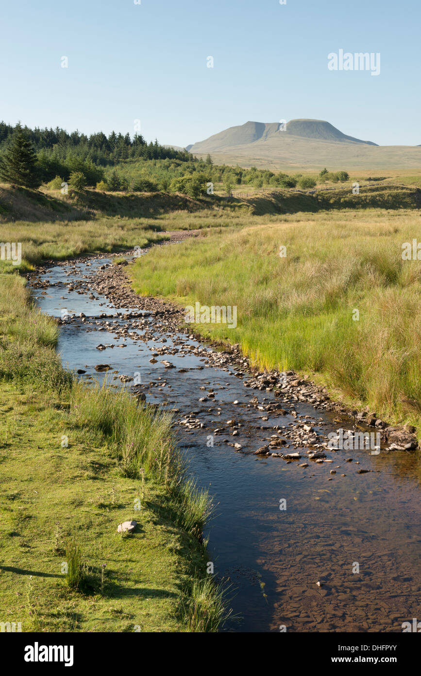 Un fiume che porta verso la ventola Foel nel Fforest Fawr, Brecon Beacons, Wales, Regno Unito. Foto Stock