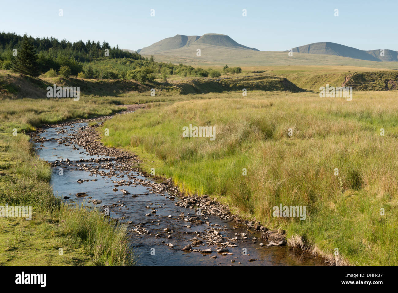 Un fiume che porta verso la ventola Foel nel Fforest Fawr, Brecon Beacons, Wales, Regno Unito. Foto Stock