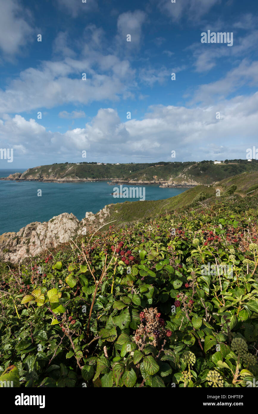 Moulin Huet Bay e Saints Bay, St Martin Guernsey, Isole del Canale. Foto Stock