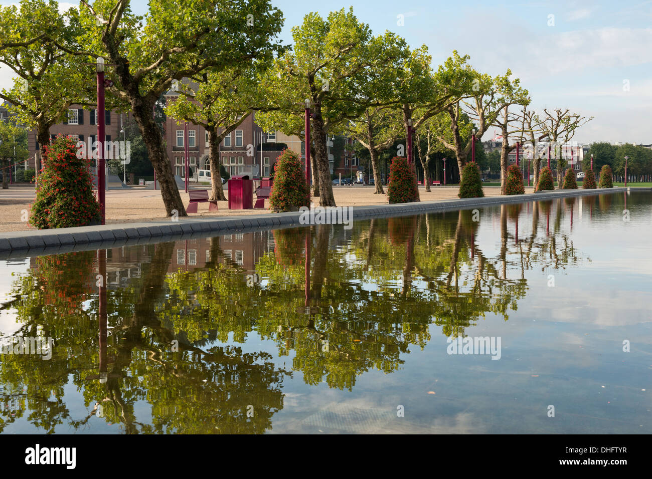 Una fila di alberi che si riflette in un stagno a piazza dei musei di Amsterdam, Paesi Bassi. Foto Stock