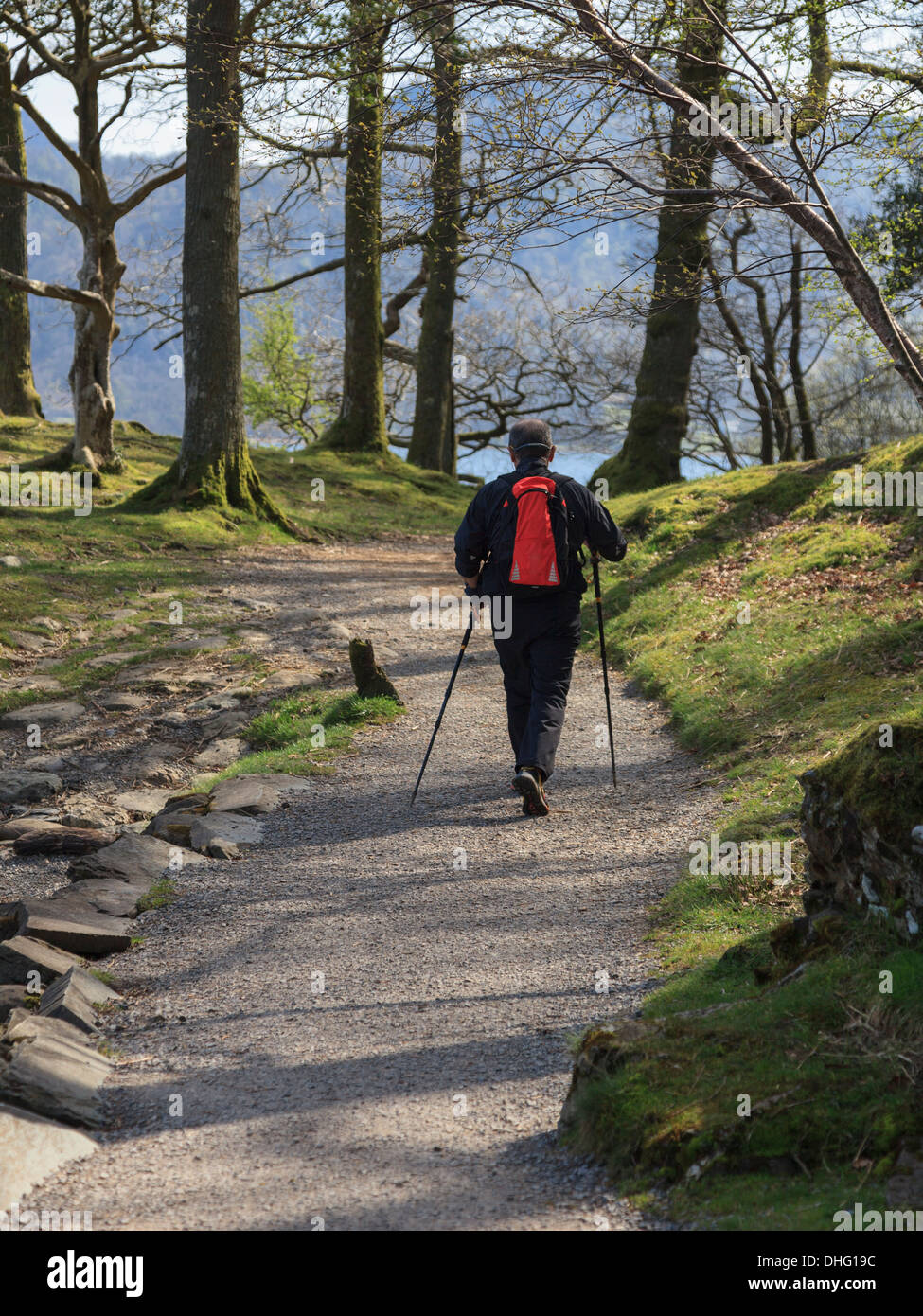 Un uomo che cammina da sola in un sentiero alberato intorno Derwent Water nel Parco Nazionale del Distretto dei Laghi vicino a Keswick, Cumbira, England, Regno Unito Foto Stock