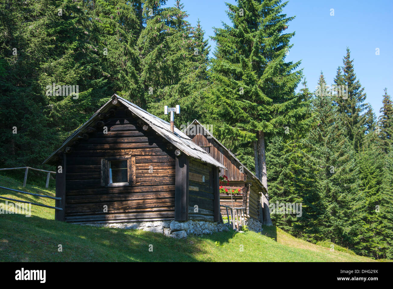 Cottage di legno nella foresta verde Foto Stock