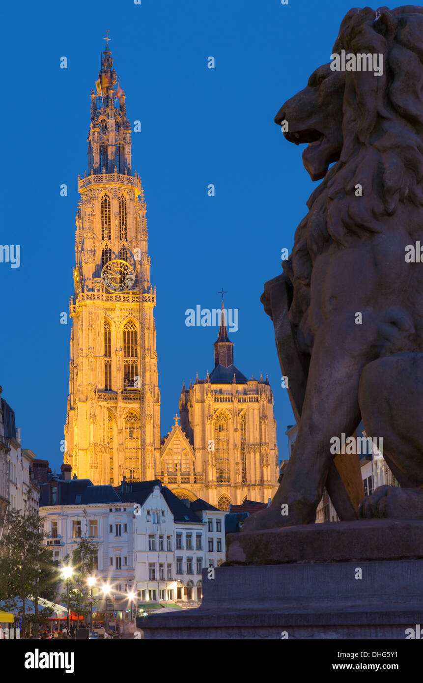 Anversa - Cattedrale di Nostra Signora con la statua del leone e Suikerrui street nel crepuscolo della sera Foto Stock