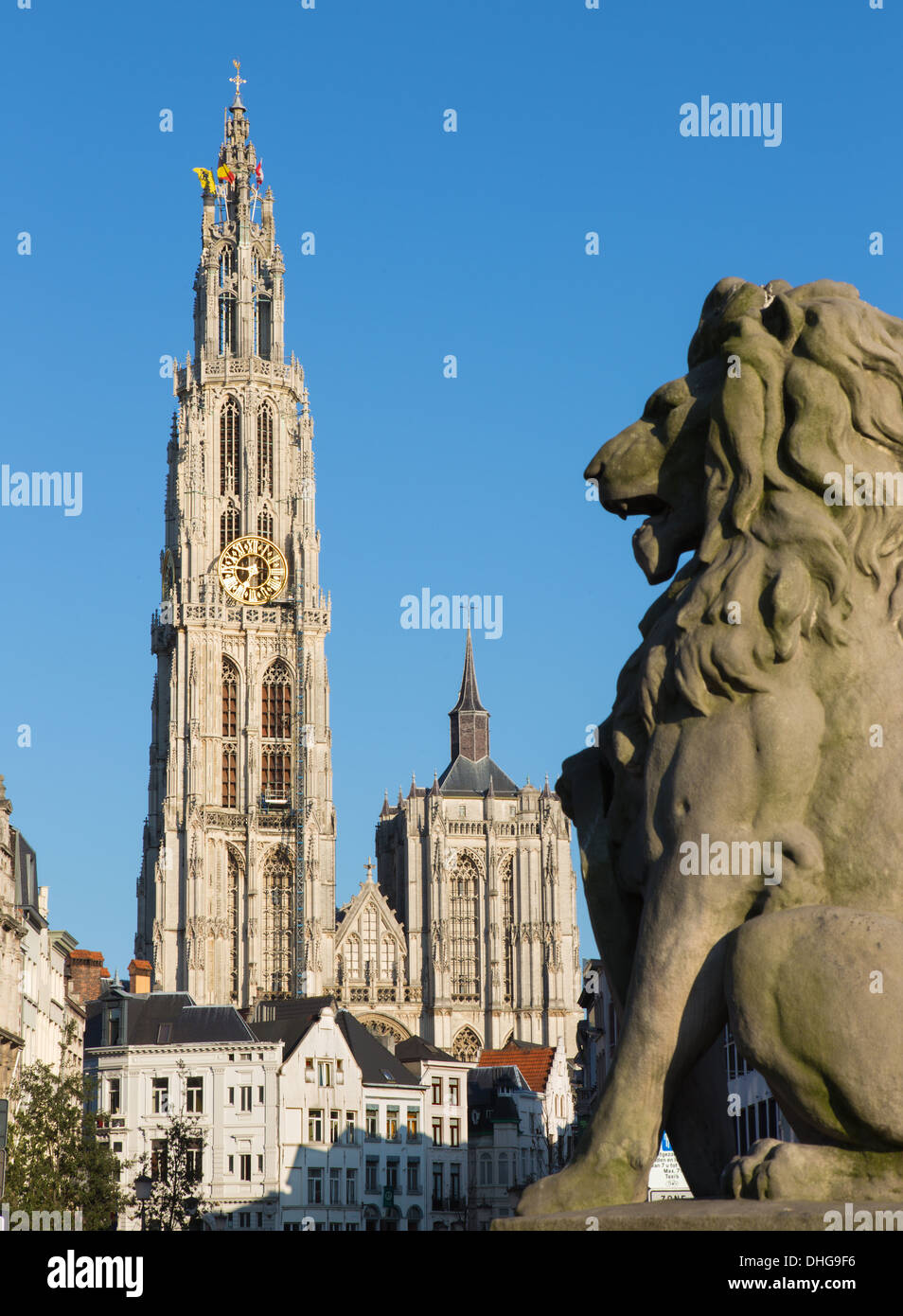 Anversa - Cattedrale di Nostra Signora con la statua del leone e Suikerrui street nella luce della sera Foto Stock