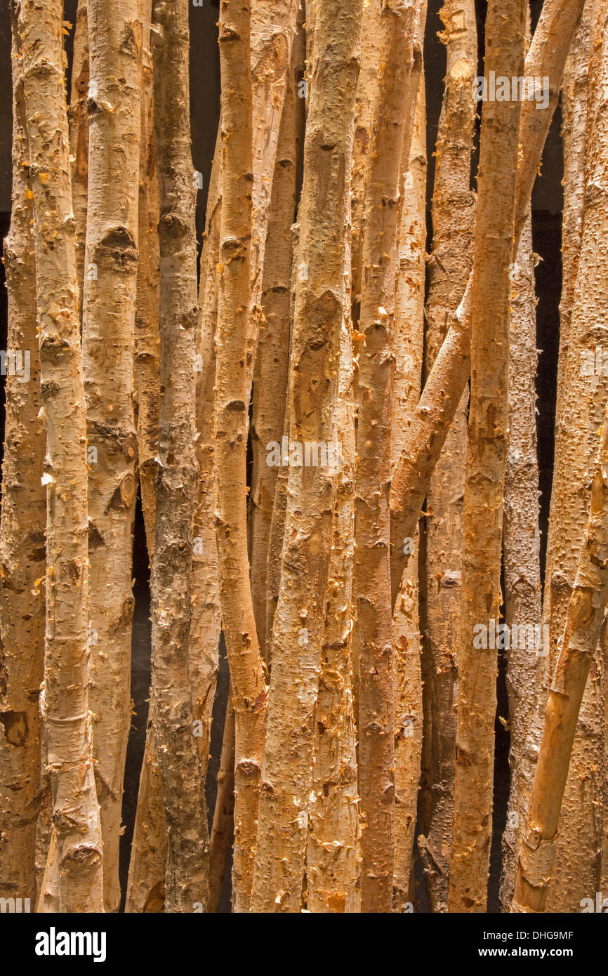 Decorazione di betulla Foto Stock