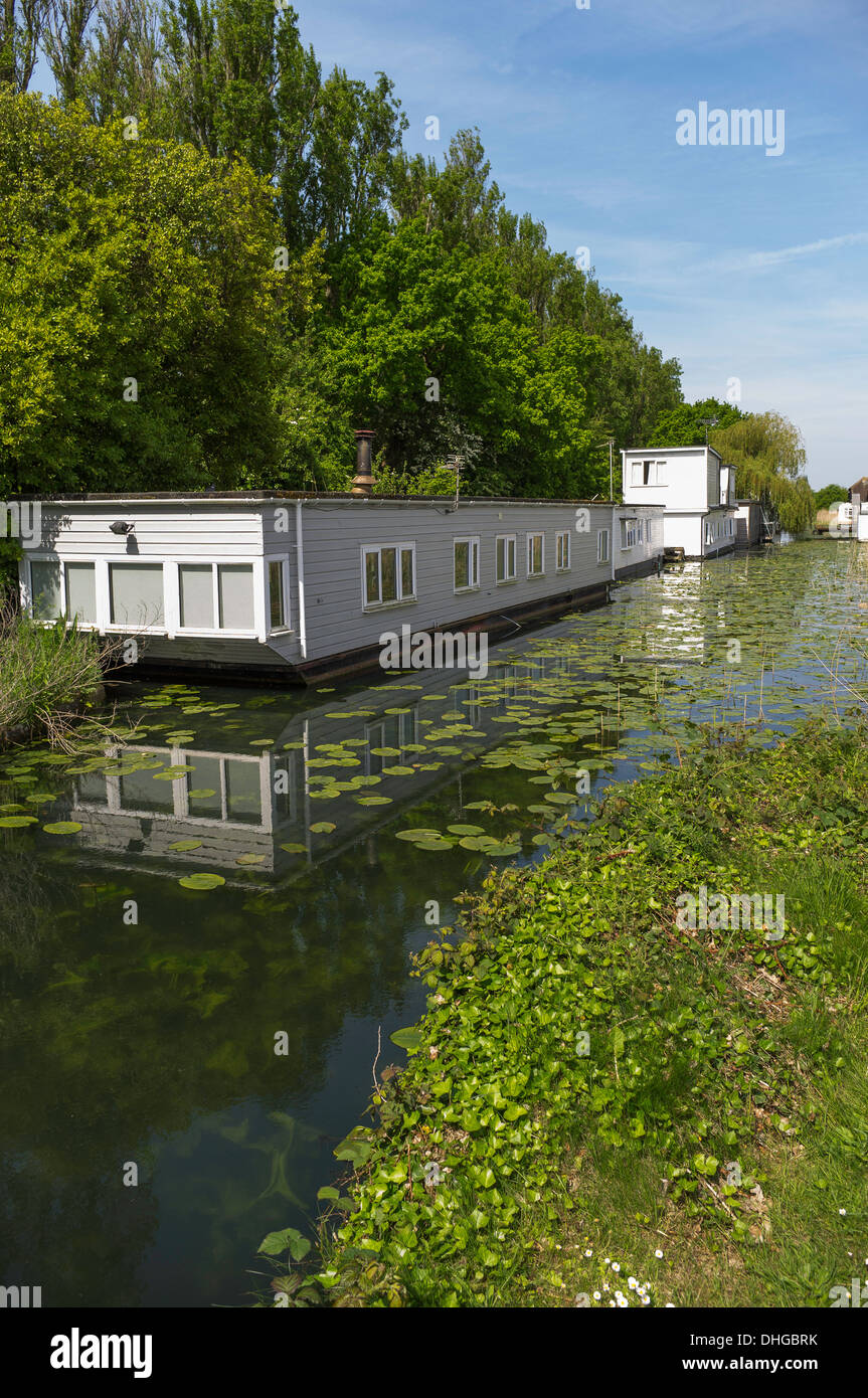 Case galleggianti sul Chichester canal vicino al porto di Chichester West Sussex England Regno Unito Foto Stock