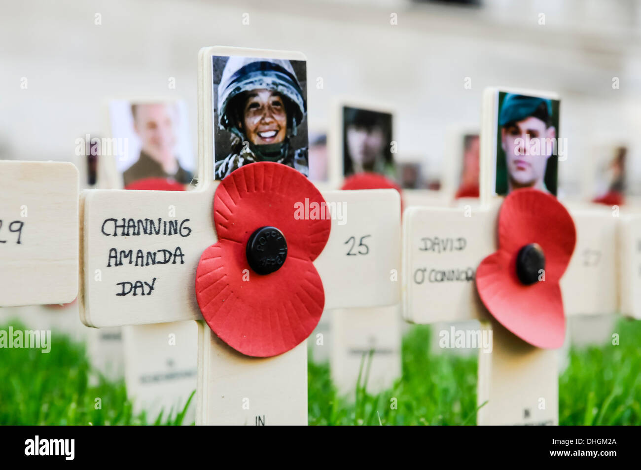 Belfast, Irlanda del Nord. 10 nov 2013 - croci di legno nel Giardino della Rimembranza a Belfast per commemorare Corporals Channing giorno e David O'Connor, ucciso in un attentato ostile in Afghanistan mentre in servizio attivo nel mese di ottobre 2012. Foto Stock