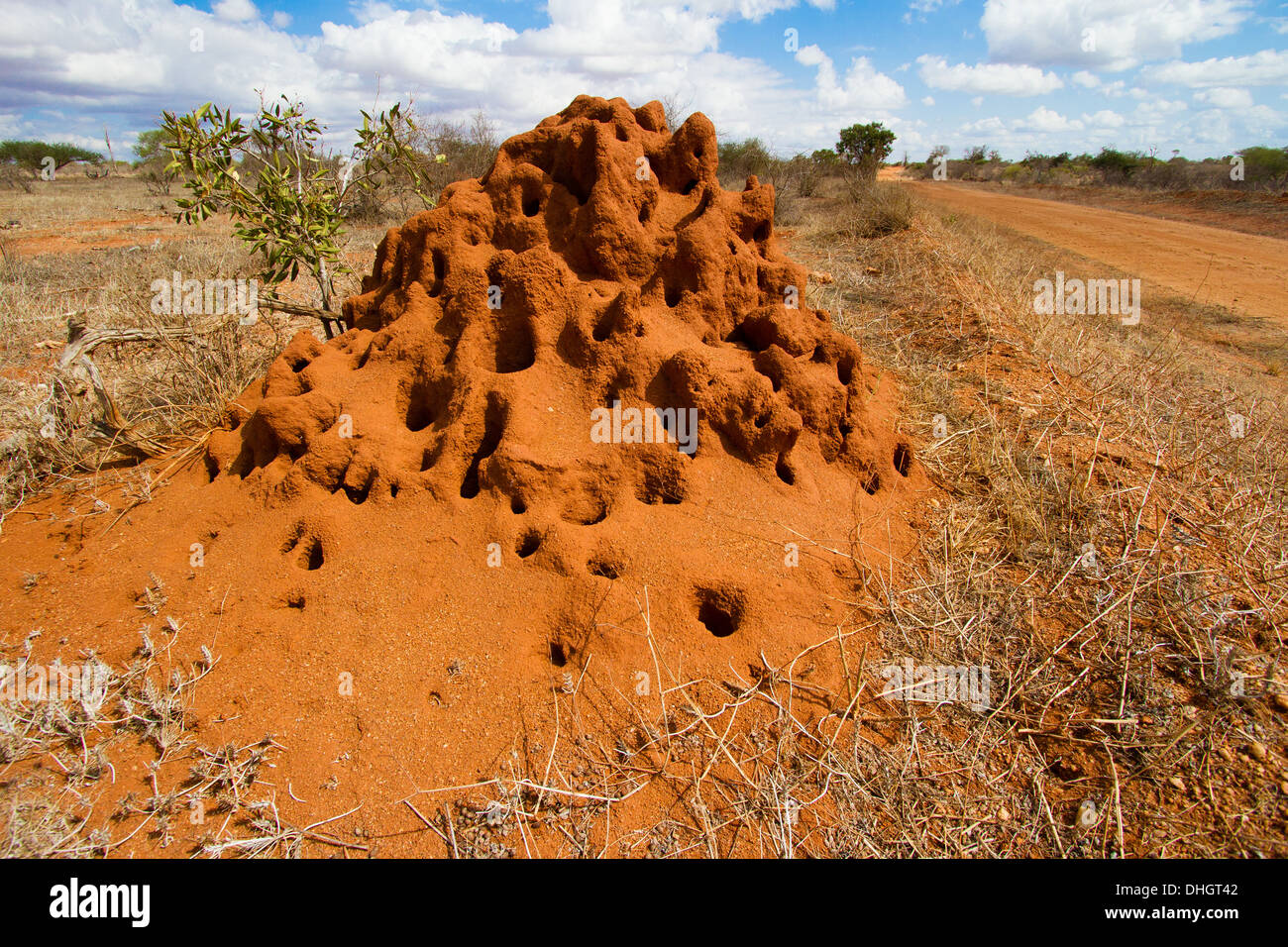 Weathered termite mound da un rosso sporco della pista nel parco nazionale orientale di Tsavo in Kenya meridionale Foto Stock