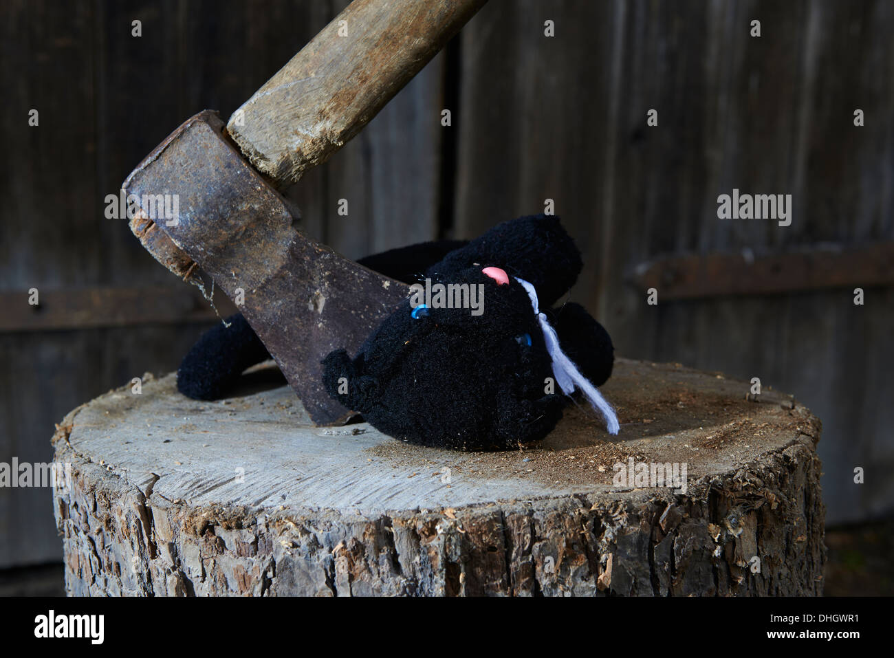 Esecuzione - omicidio del bambino giocattolo di peluche gatto nero con un'ascia Foto Stock