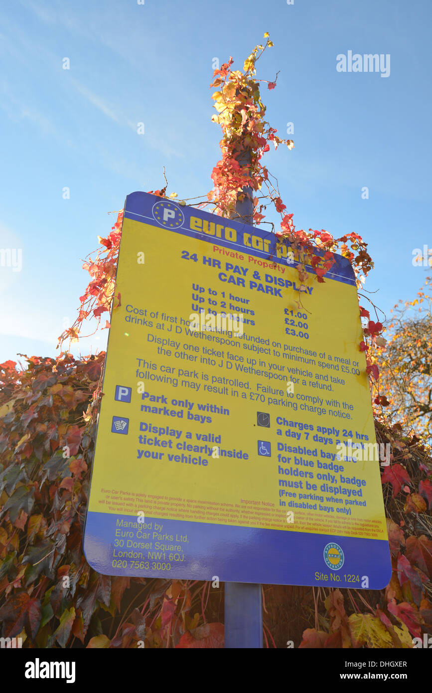 Euro Parcheggio Auto display board, l'anello, Bracknell, Berkshire, Inghilterra, Regno Unito Foto Stock