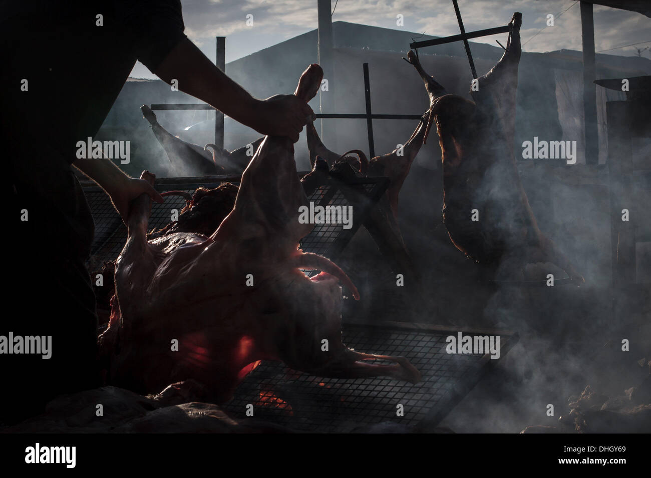 Mar de Cobo, Buenos Aires, Argentina. Decimo Nov, 2013. Un tradizionale asado (grill barbecue) durante l annuale Fiesta de Cordero. Cordero (maiale, carne di maiale) ampiamente non è mangiato in Argentina rispetto alle carni bovine che è più ampiamente disponibili e radicata nella cultura argentina. Il festival si svolge per tre giorni ed è costituito da musica dal vivo, arti e mestieri come pure l'Asado che scorrono costantemente durante l'evento. Carne di maiale argentino la produzione è aumentata di più del 40% tra il 2001 e il 2011 come il governo cerca di rendere più carne disponibile per l'esportazione. © Ryan nobile/ZUMAPRESS.com/Alamy Live News Foto Stock