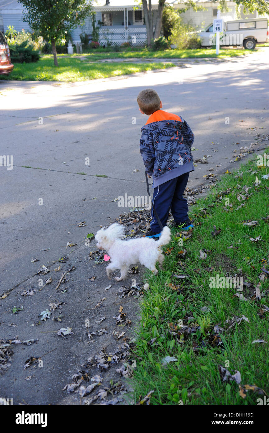 Little Boy cercando prima di attraversare la strada con il cane Foto Stock