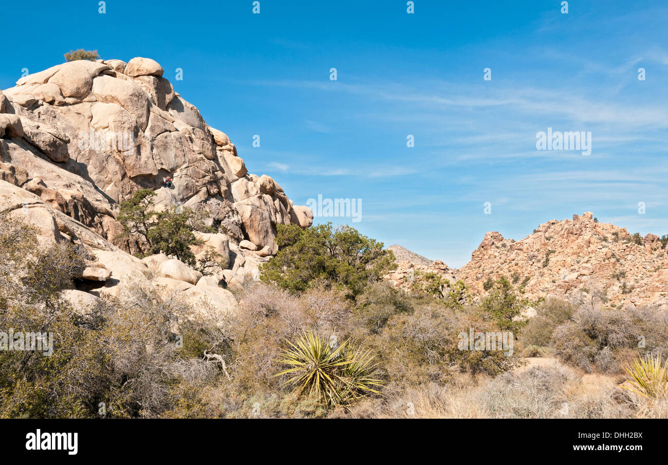 California, Joshua Tree National Park, Hidden Valley Trail, arrampicate Foto Stock