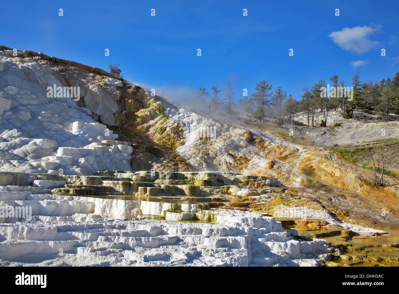 Il ben noto formazioni calcaree Foto Stock