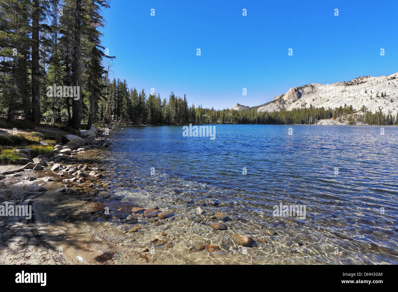 Alta montagna lago di maggio a Yosemite Park Foto Stock