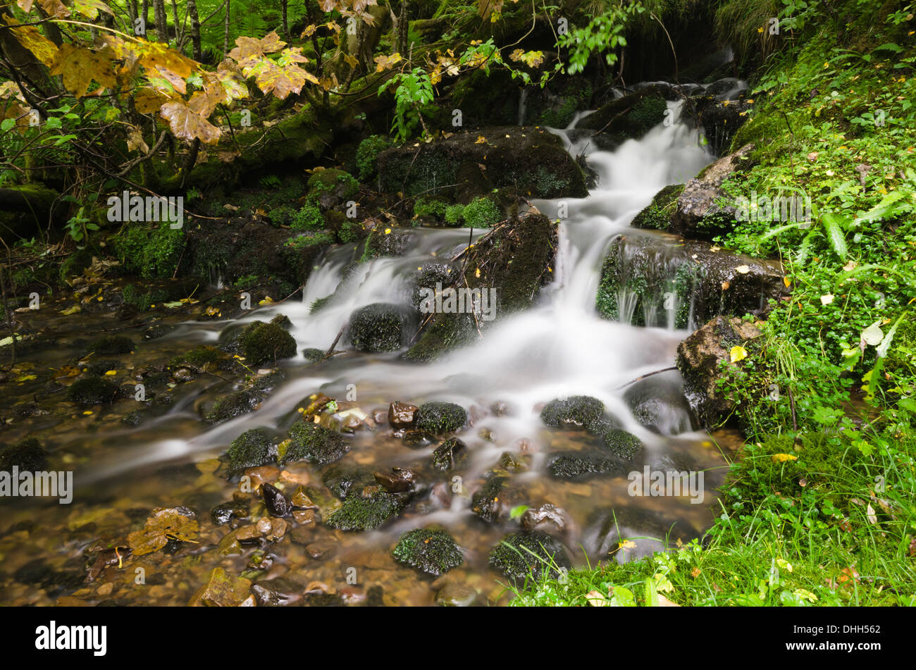 La cascata nel bosco Foto Stock