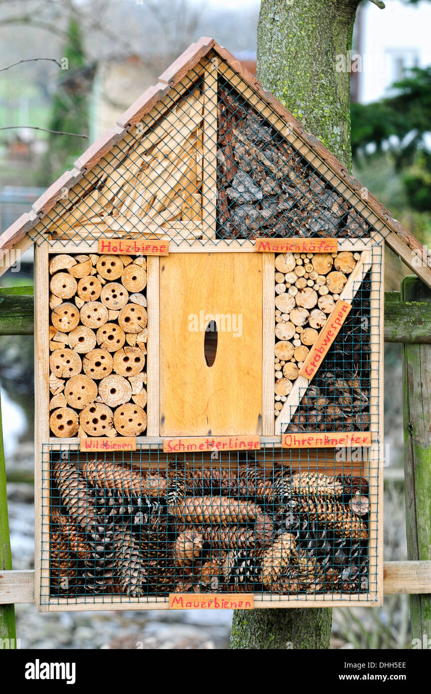 Home per gli insetti in bianco e nero Foto Stock