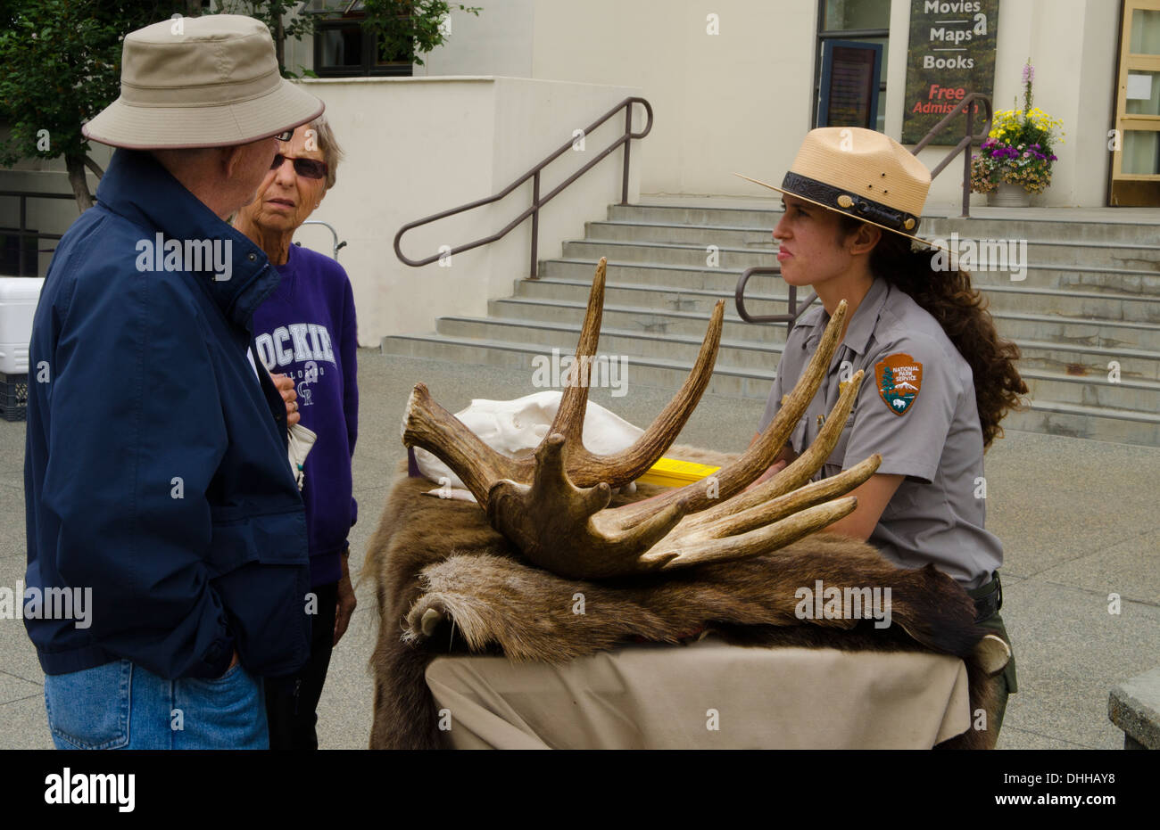 Anchorage in Alaska alci, corna con Forest Ranger che mostra i turisti in centro città a 4° Avenue Foto Stock