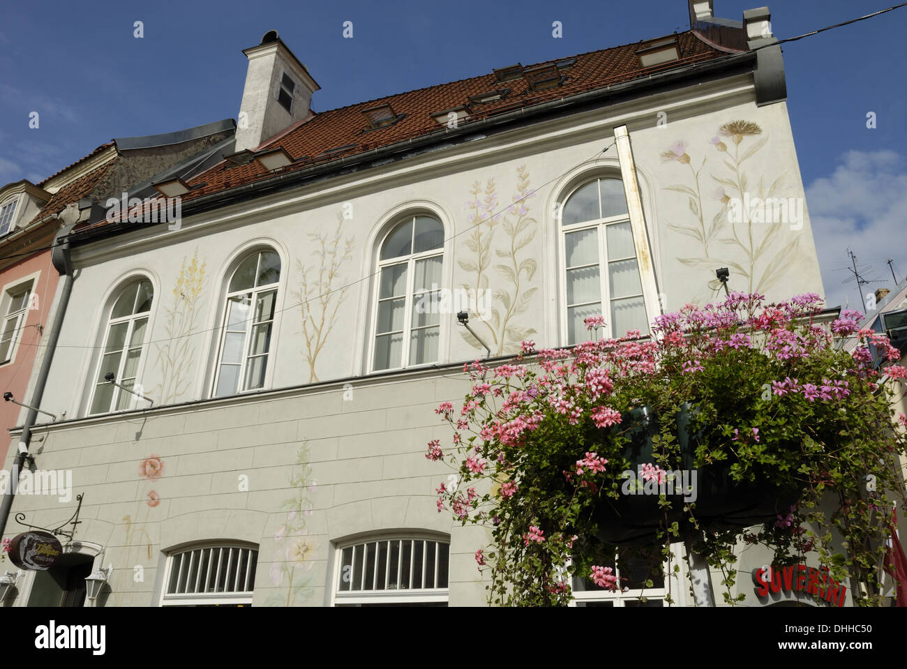 Fiore di murales su una casa in Riga Foto Stock