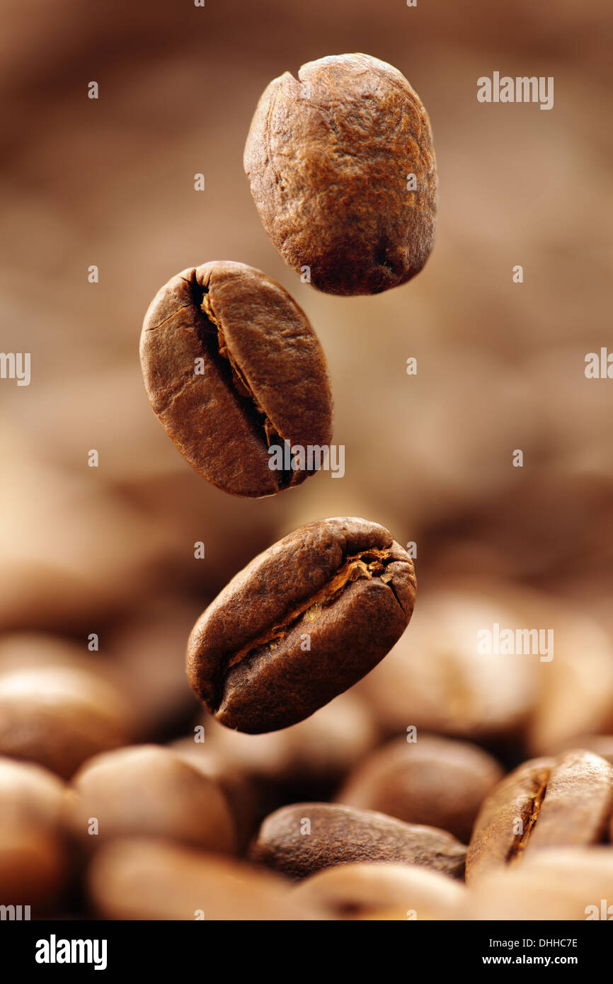 Chicchi di caffè Foto Stock