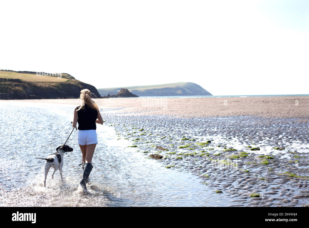 Donna cane a camminare sulla spiaggia, Wales, Regno Unito Foto Stock