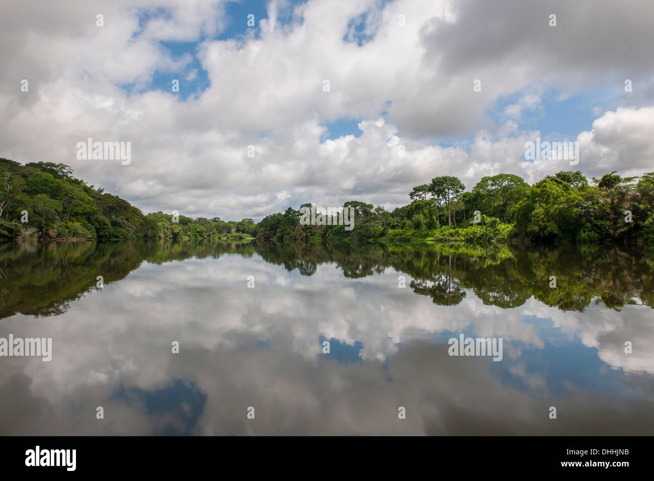 Tiwai Island Wildlife Sanctuary su un'isola del fiume Moa, Tiwai Island, sud della provincia, Sierra Leone Foto Stock