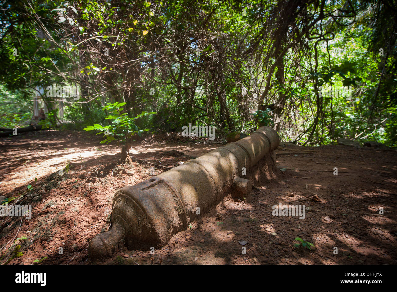 Il vecchio cannone come una reliquia dell'epoca coloniale nella giungla, Banana isole, Area occidentale, Sierra Leone Foto Stock