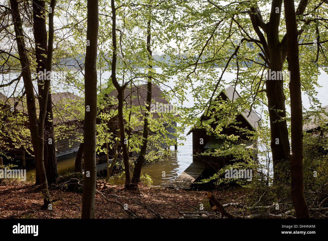Boatsheds in legno lungo la riva del lago, Stechlin Ruppiner Land, Brandeburgo, Germania Foto Stock