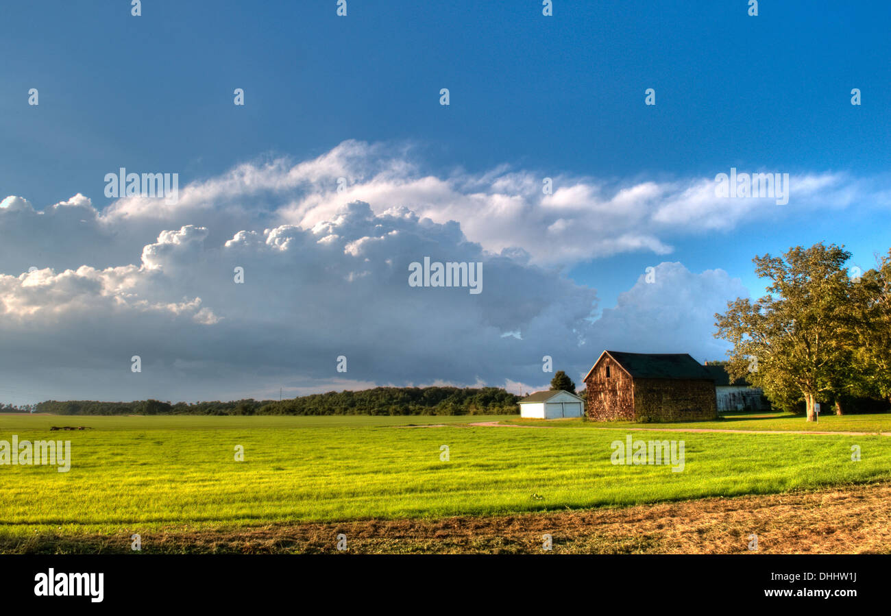 Terreni agricoli, North Fork, Long Island, New York. Foto Stock