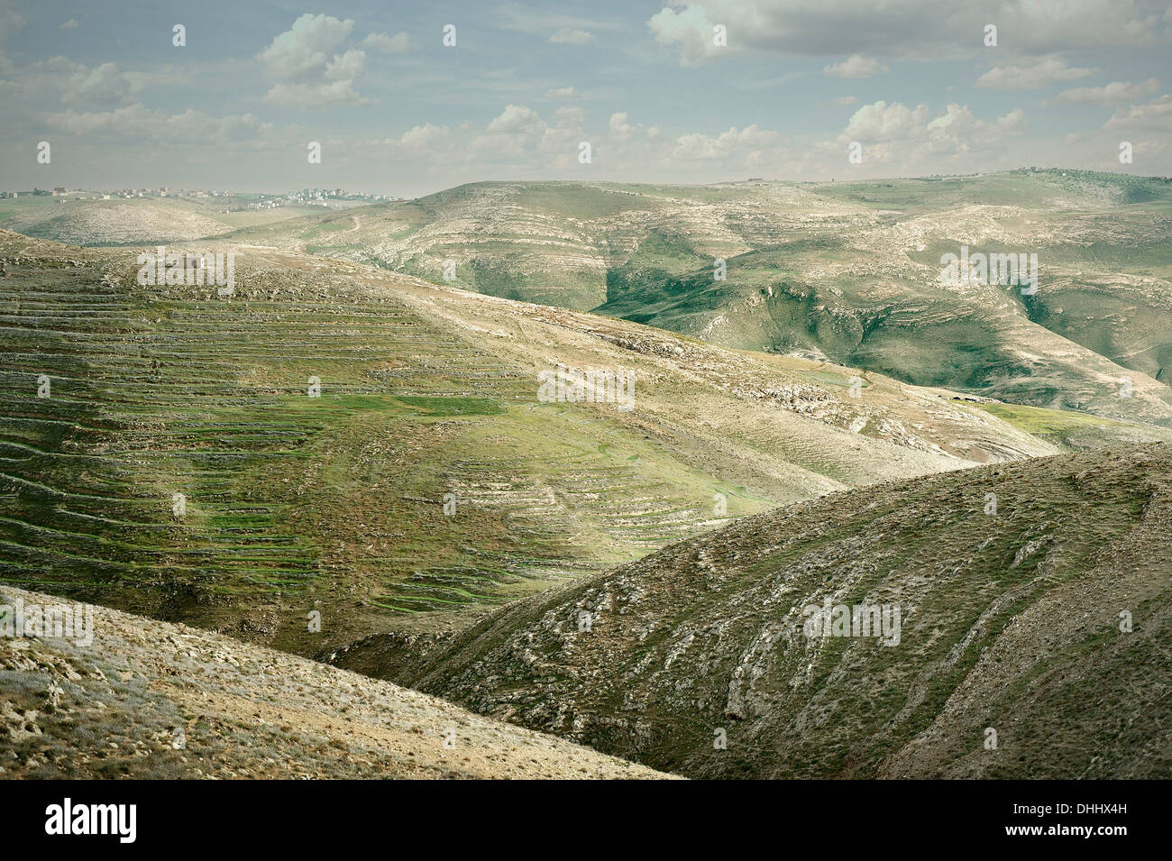 Verde di montagne brulle sul retro paese del Mar Morto, habitat di beduins, il Monte Nebo, Giordania, Medio Oriente e Asia Foto Stock