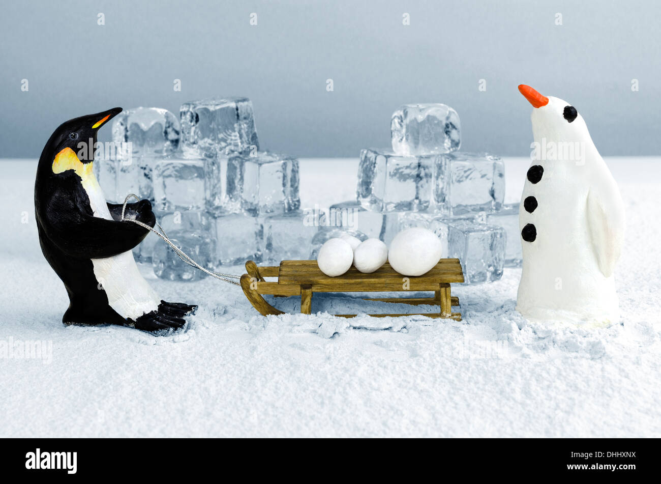Penguin tirando la slitta con snowballs a bordo Foto Stock