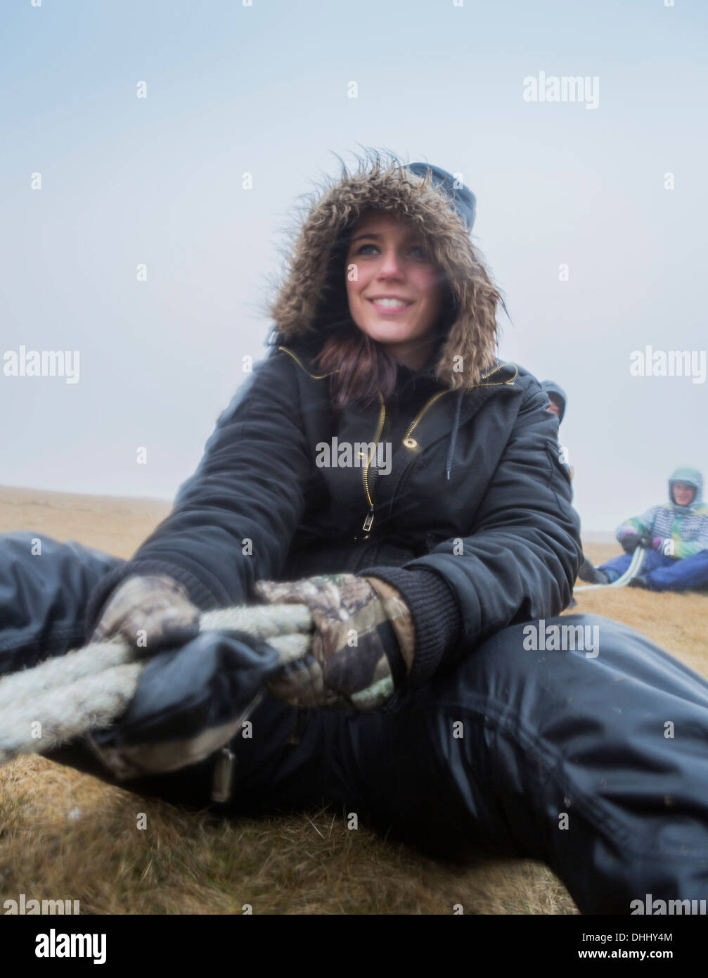 Il lavoro di squadra sforzo da parte della corda per raccogliere le uova sulle scogliere. Comune di raccolta Guillemot uova (Uria aalge), Ingolfshofdi, Islanda Foto Stock