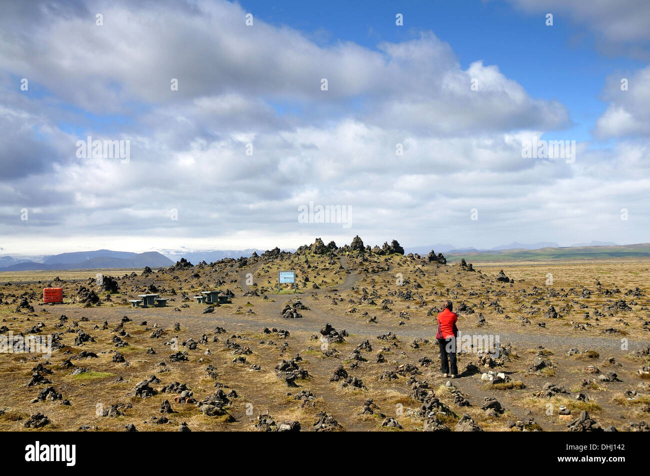 Ring Road, campo di lava Eldhraun, Myrdalssandur, Sudurland, Islanda Foto Stock
