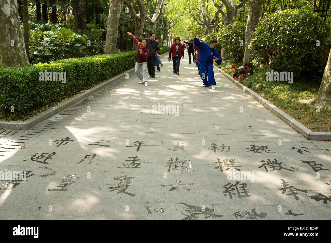 Fuxing Park gruppo Shanghai Tai Chi esercizi Foto Stock