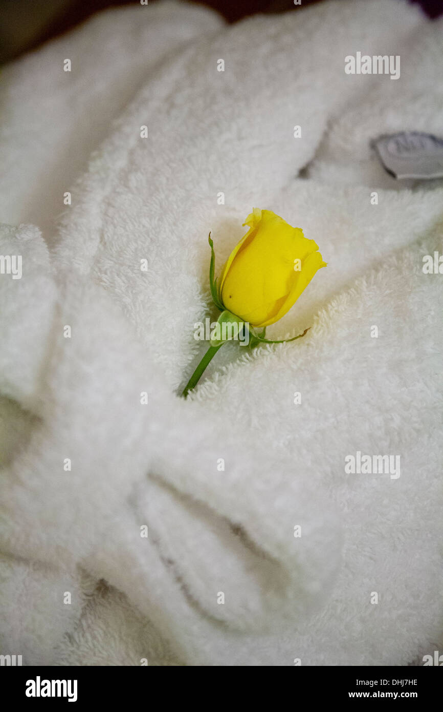 Vasca da bagno Accappatoio rosa bianca fiore giallo arredamento decorativo decorazione pulita e sana igiene hotel offerta camera offerta di un servizio Foto Stock
