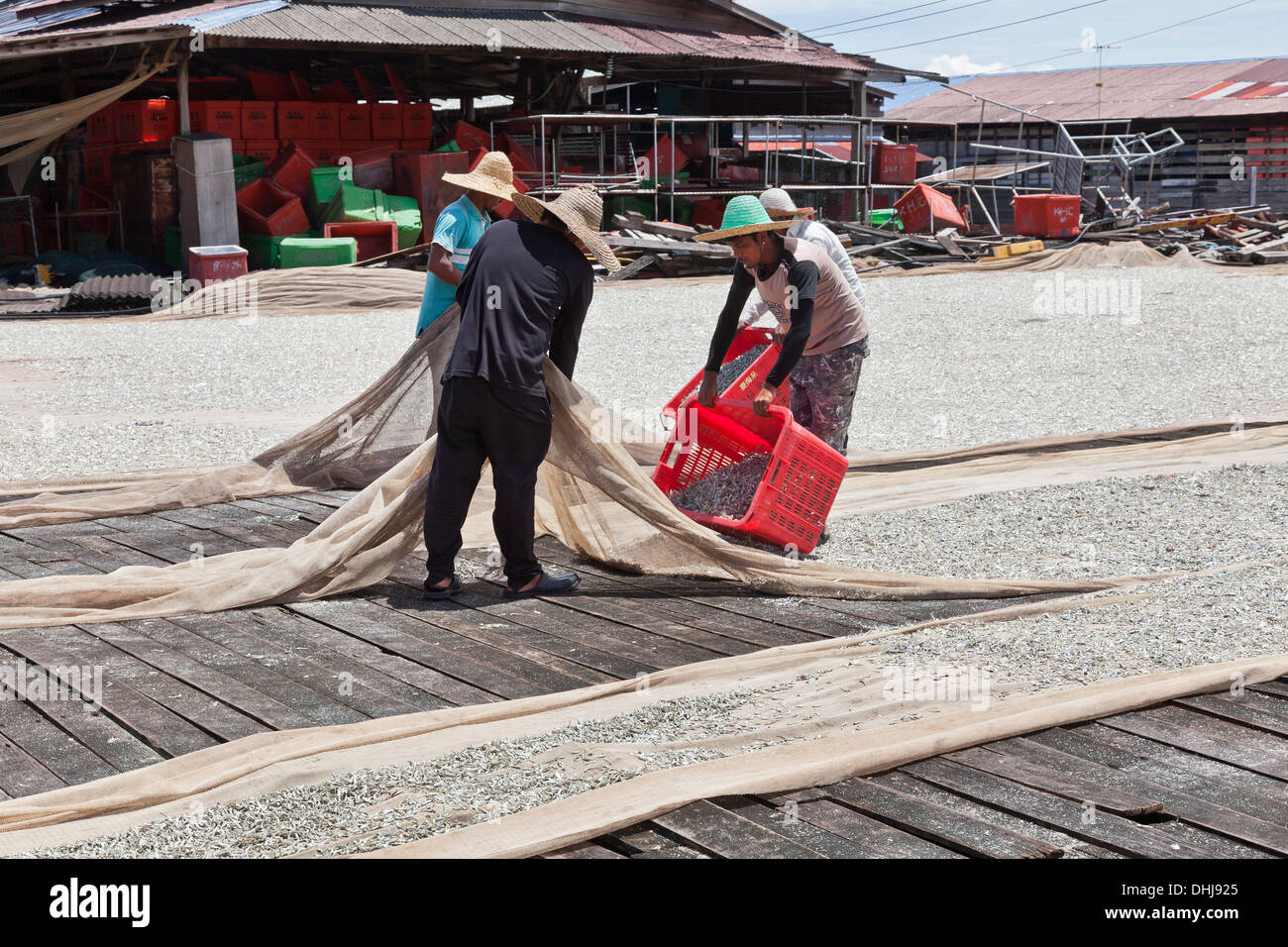Commerciale di trasformazione del pesce, Pangkor island, Malaysia Foto Stock