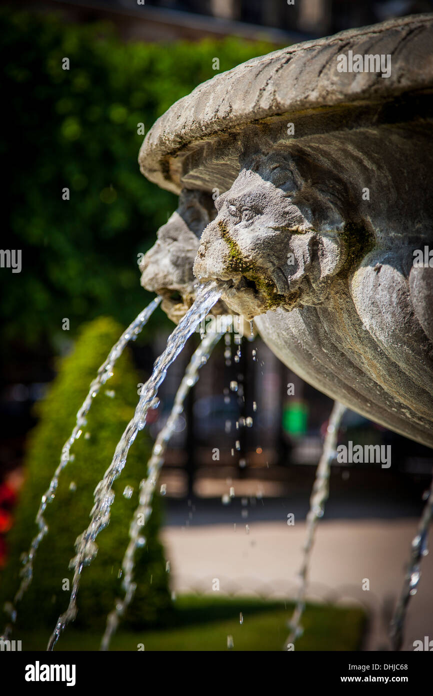 Teste di leone - dettagli fontana in Place des Vosges, Les Marais, Parigi Francia Foto Stock