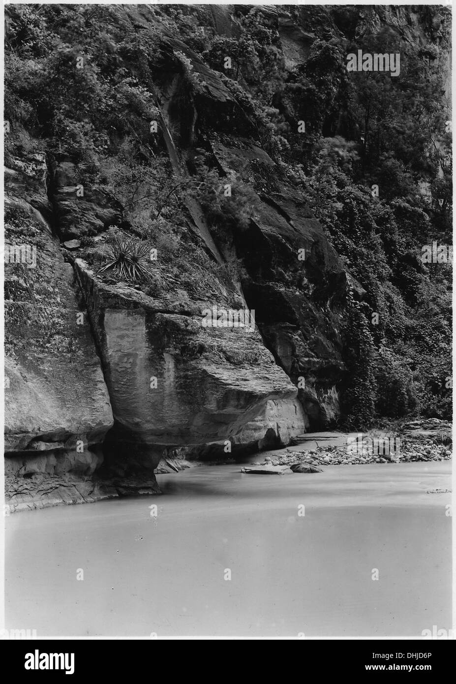 CLiff indeboliti dal fiume vergine. La parete ovest del Canyon sopra il tempio di Sinawava. 520458 Foto Stock