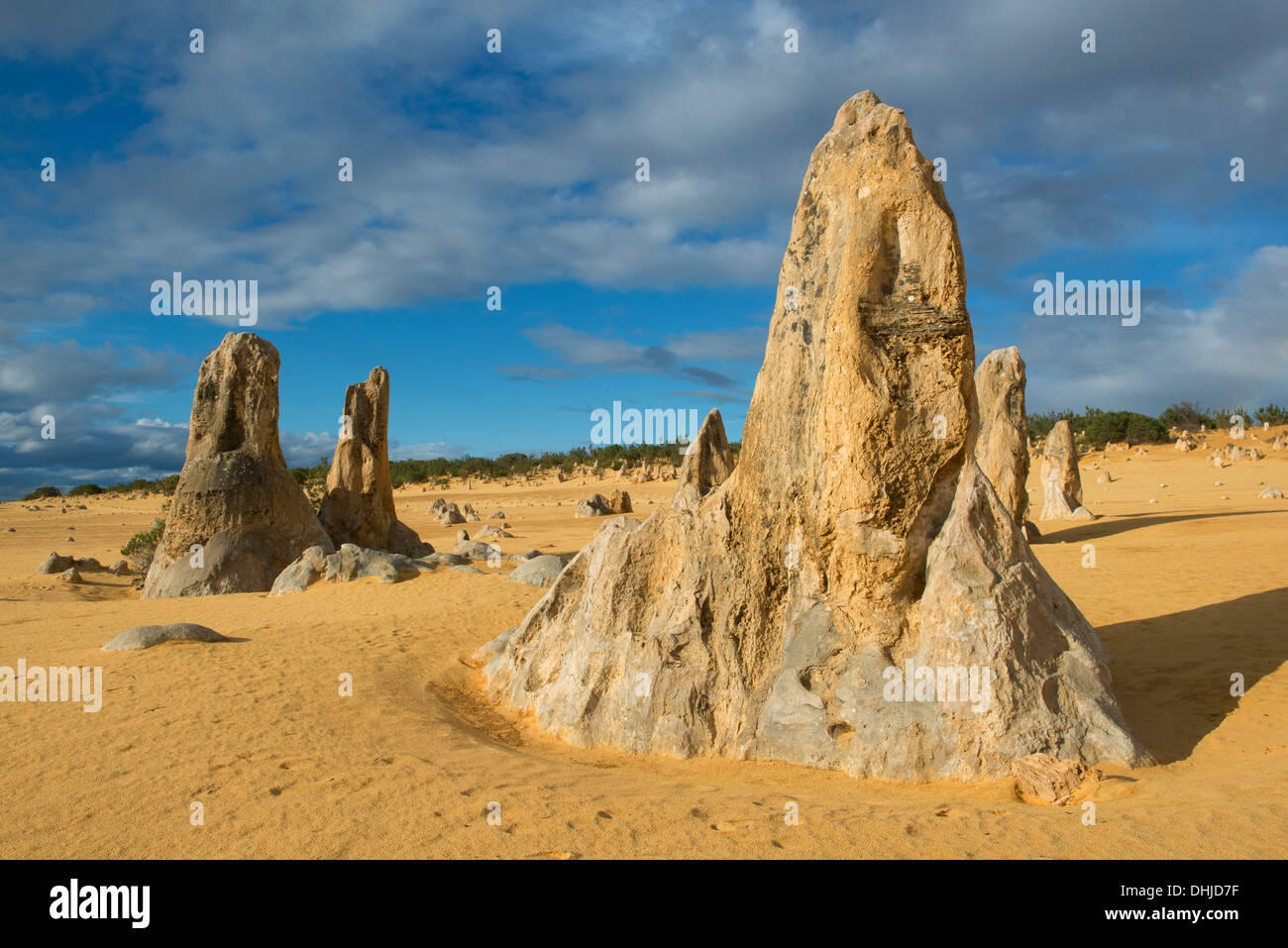 I pinnacoli, Nambung National Park, Australia occidentale Foto Stock