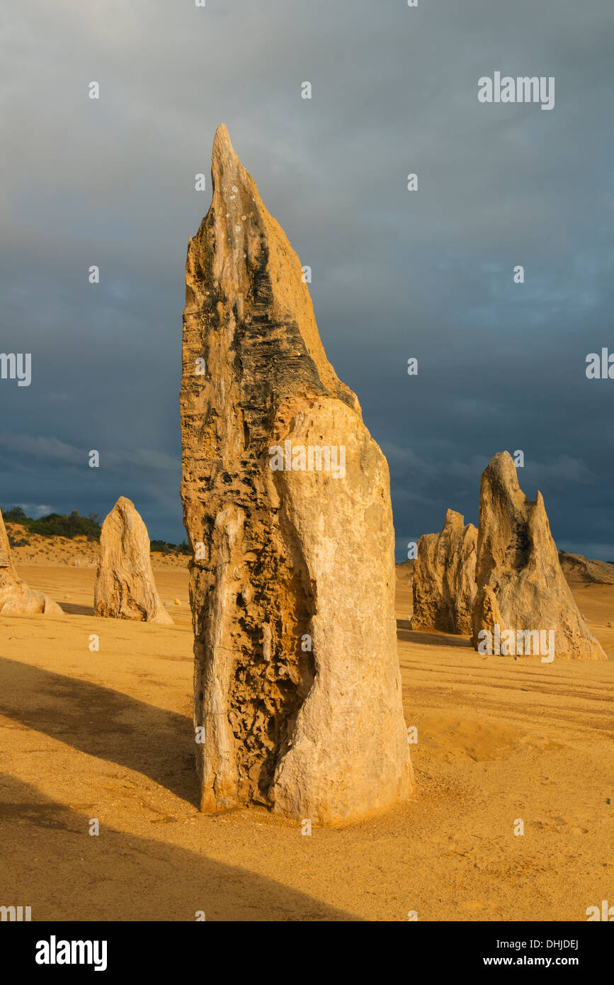 I pinnacoli, Nambung National Park, Australia occidentale Foto Stock