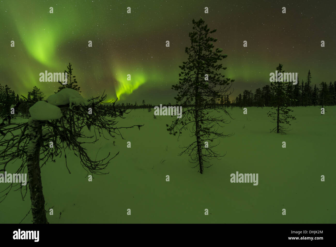 Luci del nord (Aurora boreale), Svezia Foto Stock
