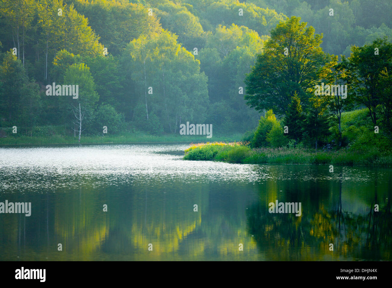 Sereno lago di costa serena tranquilla serenità Foto Stock