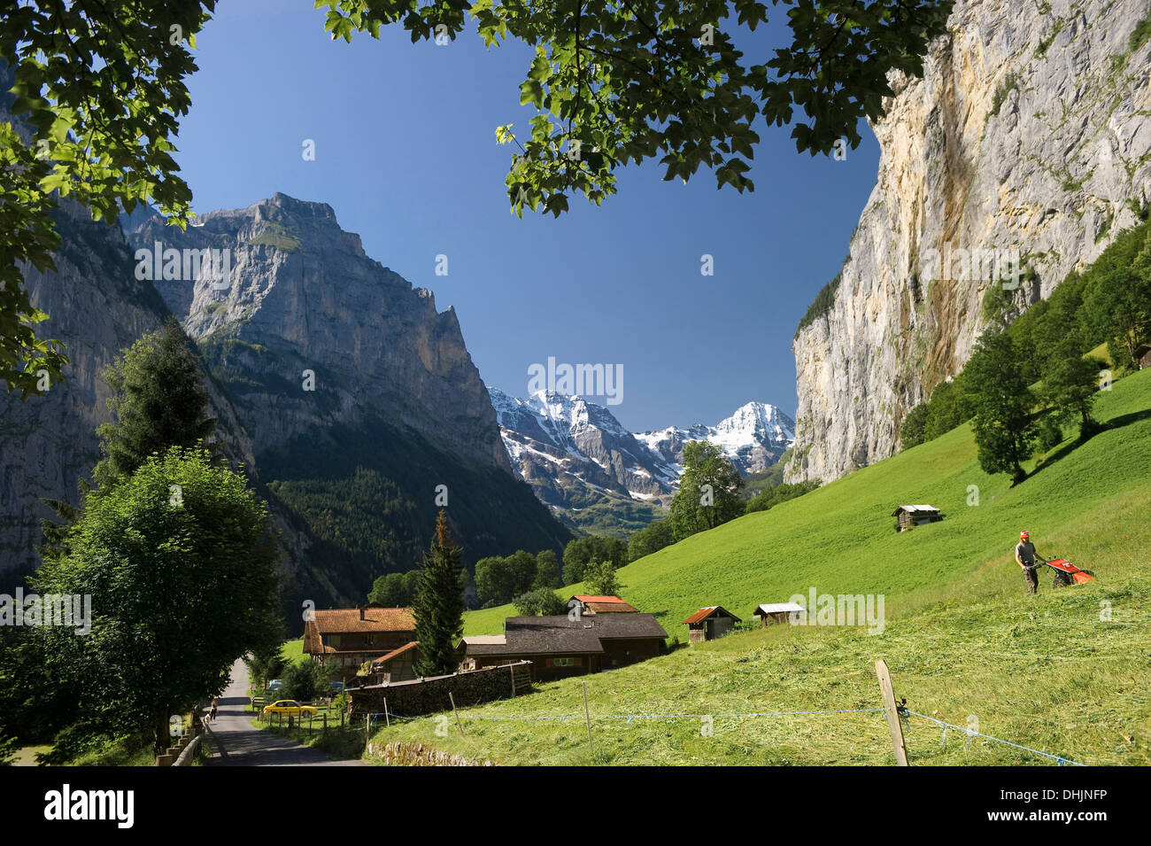 Prato soleggiato a valle di Lauterbrunnen, cantone di Berna, Svizzera, Europa Foto Stock