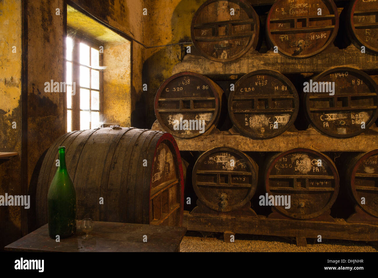 Botti di invecchiamento a Chateau du Breuil Calvados distilleria, Le Breuil En Auge, Calvados, Basse-Normandie, Francia Foto Stock