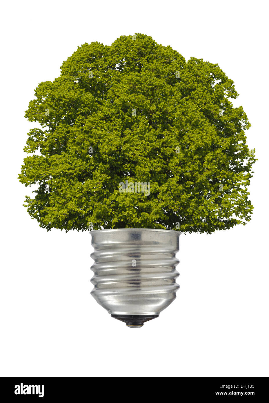 Albero e lampada elettrica come simbolo Foto Stock