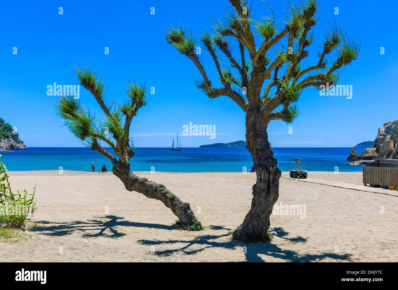 Europa, isole Baleari Spagna, Eivissa, Ibiza, la spiaggia di Cala Portinat Foto Stock