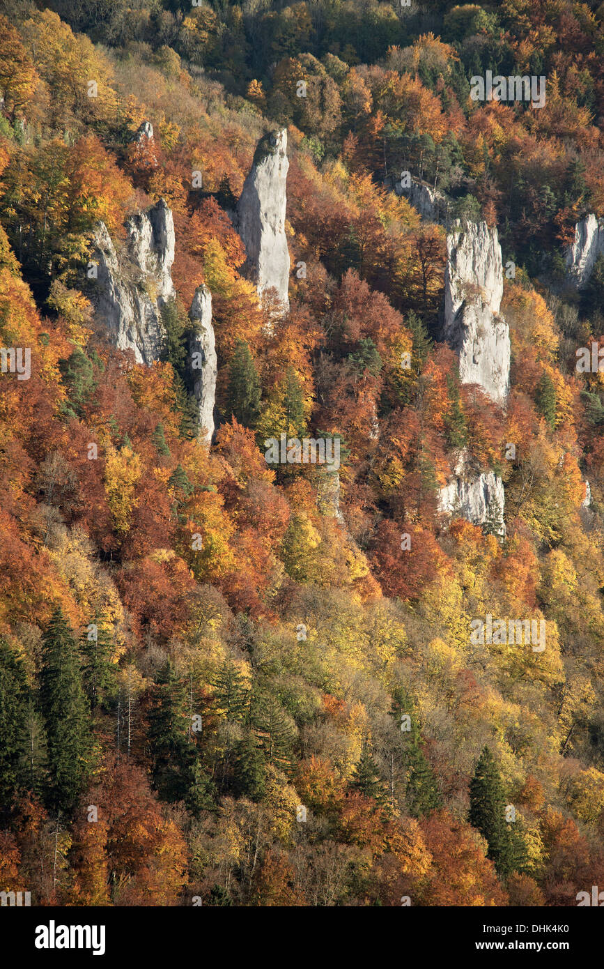 Rocce Knopfmacherfels presso il fiume Danubio in autunno, Donautal superiore intorno a Beuron, Landkreis Sigmaringen, Svevo, Baden-Wue Foto Stock