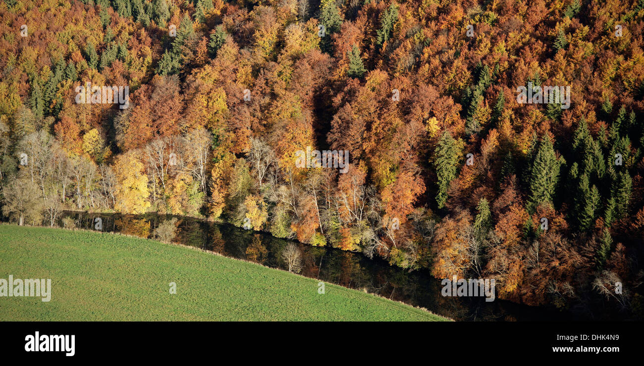 Fiume Danubio in autunno, Donautal superiore intorno a Beuron, Landkreis Sigmaringen, Svevo, Baden-Wuerttemberg, Germania Foto Stock