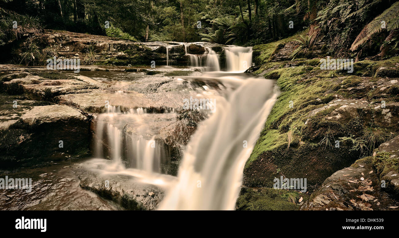 Cascata Liffey Falls, Tasmania, Australia, Esposizione lunga Foto Stock